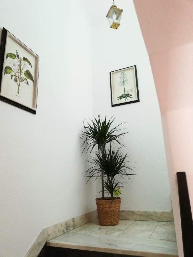 Arronches Villa מראה חיצוני תמונה