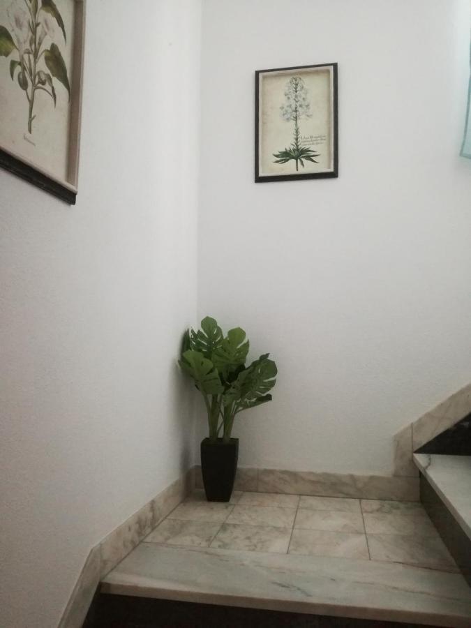 Arronches Villa מראה חיצוני תמונה